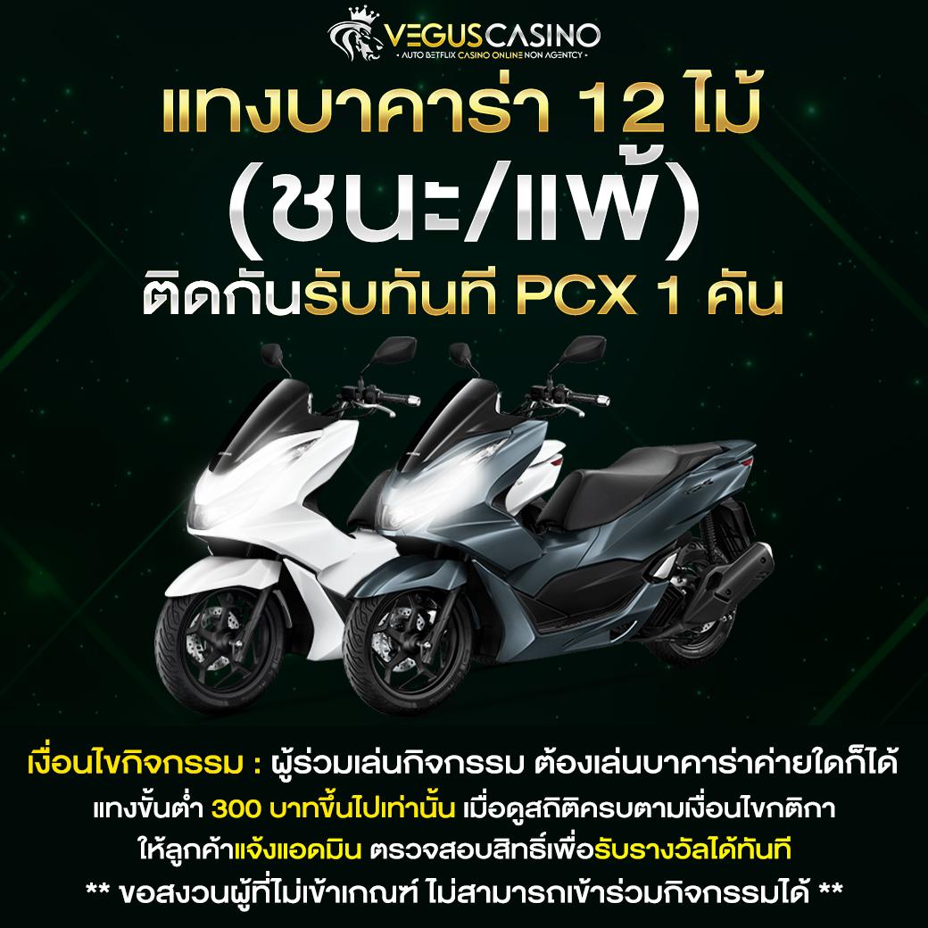 หวยหมีสีชมพู คาสิโนออนไลน์อันดับหนึ่ง รวมเกมยอดนิยมและโปรโมชั่นสุดพิเศษ