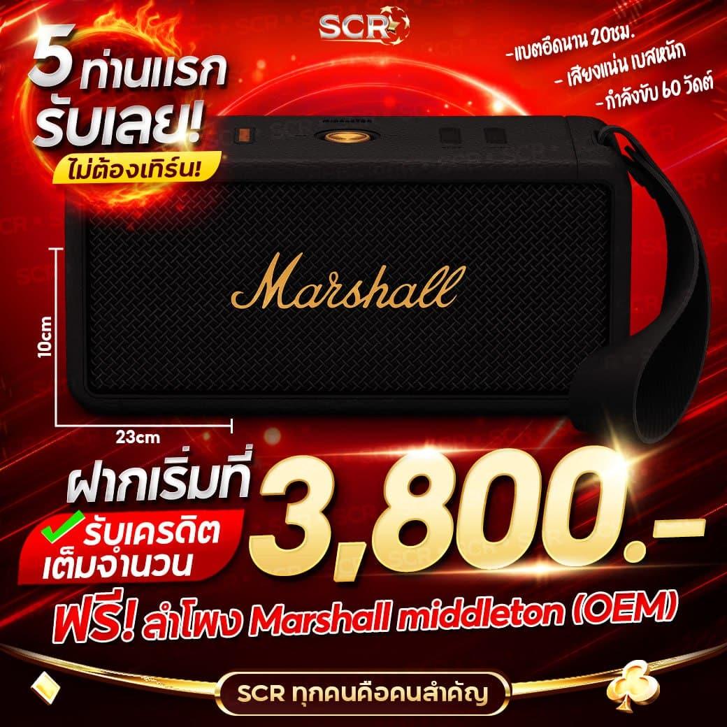 เจ็ดเอ็ม คาสิโน แพลตฟอร์มใหม่ล่าสุด รวมเกมสล็อตแตกง่าย