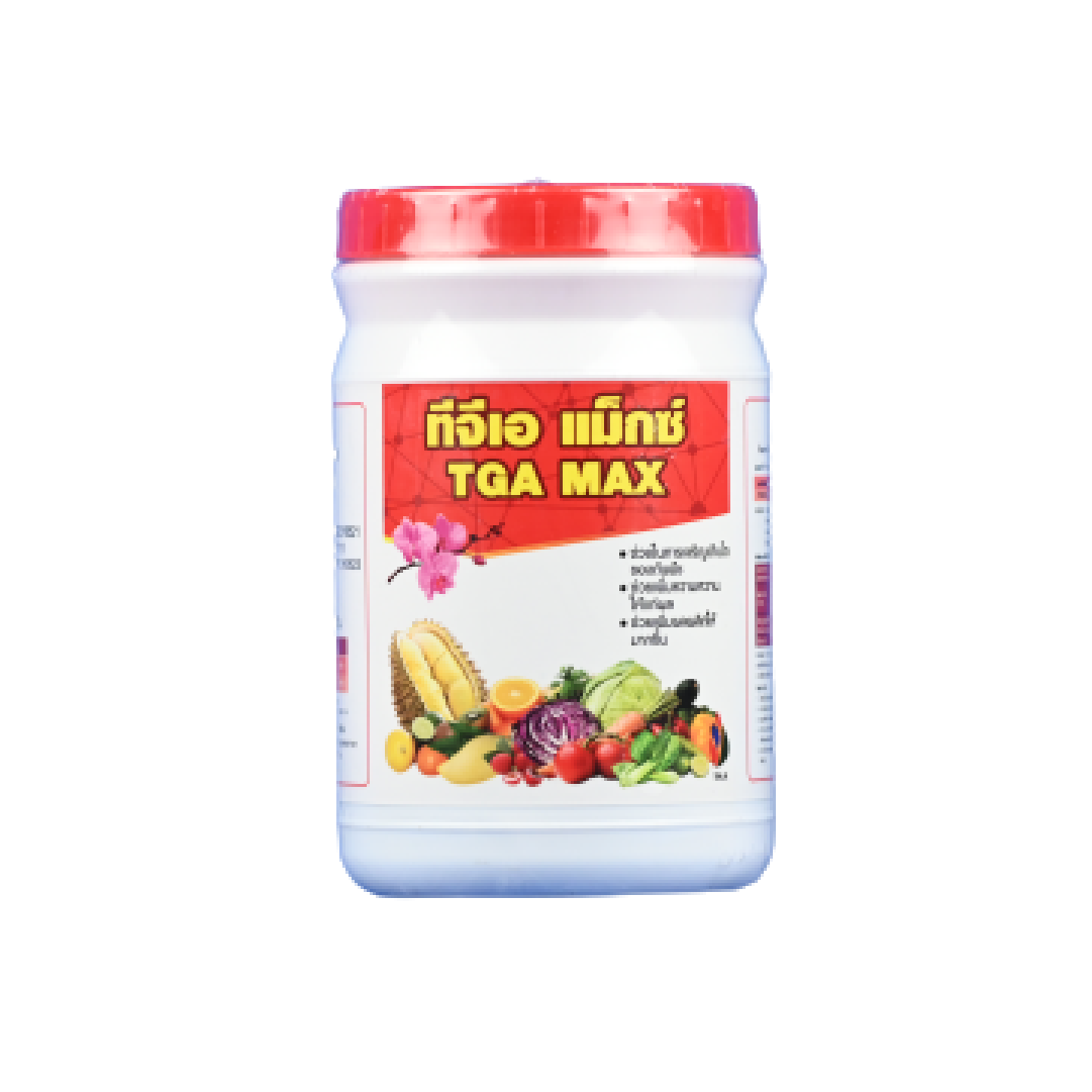 เดิมพัน MG Mint คาสิโนออนไลน์ล่าสุด เข้าสู่ระบบง่าย รับโบนัสทันที