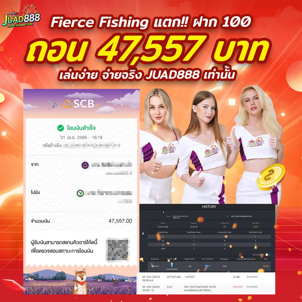 เว็บหมีแพนด้า คาสิโนออนไลน์ยอดนิยม บริการครบวงจร 2024