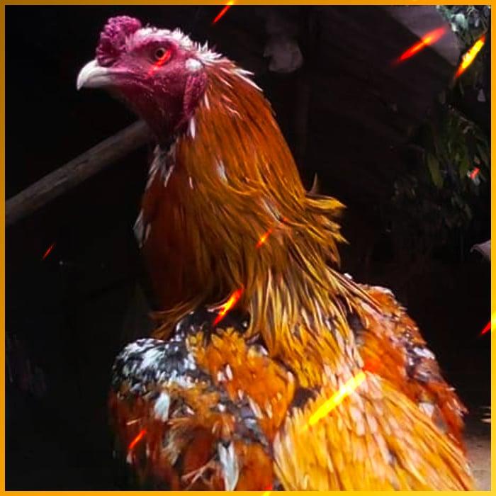 โปรสล็อตสมาชิกใหม่ฝาก10รับ100วอเลท2023 โอกาสรวยง่ายๆในปีนี้